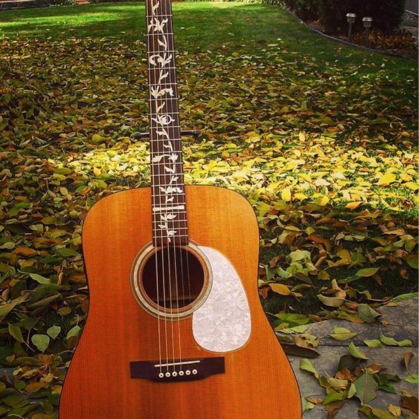 Наклейки на гриф гитары в виде ветки с листьями