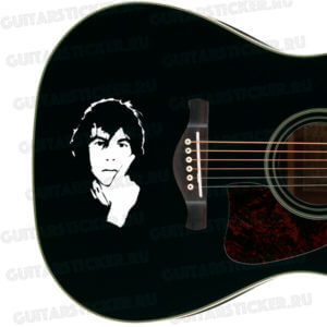 Купить виниловую наклейку на гитару Портрет Александра Башлачева