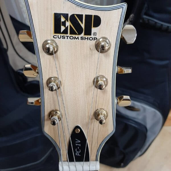 Декаль для гитары купить ESP custom shop