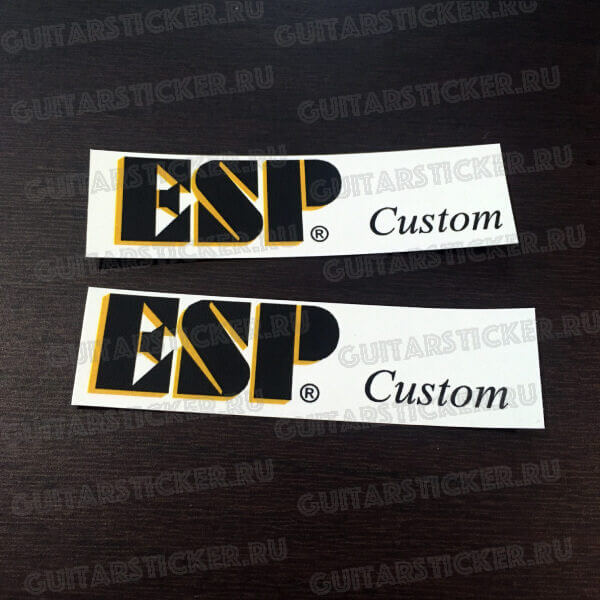 Купить наклейку ESP Custom